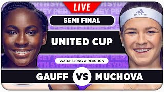 GAUFF vs MUCHOVA • United Cup 2025 SF • LIVE Tennis Watchalong Stream