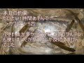 【じんぱちフィッシング 19 小物釣り　川】東京都八王子市　城山川で小物釣り