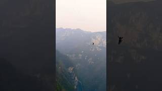 Amazing cliff swing in China #shorts/给钱都不敢玩的悬崖秋千/給錢都不敢玩的懸崖秋千