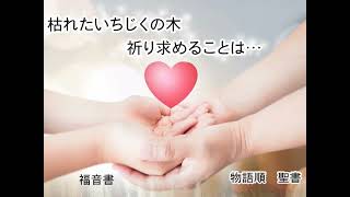 131、枯れたいちじくの木、祈り求めることは…　★火曜の朝　日本語 字幕 設定付き