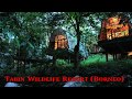 5 Amazing Rainforest Resorts in Malaysia!