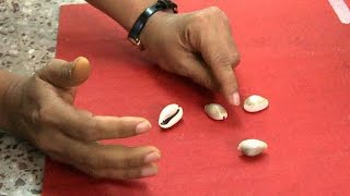 How to Use Cowries to know what  to do:business, marriage, job and more #theseer #cowrieshell