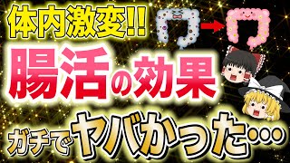 腸活の効果、鳥肌が立つほどスゴかった！身体が生まれ変わる最強の健康法【ゆっくり解説】