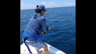 reef donkey 20 miles out