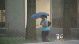 Rain Could Be Causing Increases In Mold Allergy Symptoms