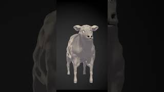 OMG! THIS COW IS DANCING // WHAT????//