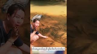 បើបងប្អូនឃើញត្រីច្រើនចឹងតើបងប្អូនគិតម៉េច?(នៅខ្មែរយើងទេ) #foryou #sorts #video #videos #funnymovie