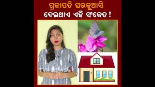 ଘରକୁ ଆସି ଏହିସବୁ ଭଲ ମାର୍ଗ ଦର୍ଶାଇଥାଏ ପ୍ରଜାପତି ! Butterfly | Malika | House | Fact | Tvpnews9