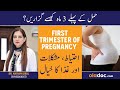 Pregnancy First Trimester In Urdu - Hamal Ke Pehle 3 Months - Pregnancy Week By Week - 1st Trimester