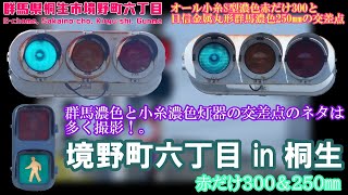 【信号機】群馬県桐生市境野町六丁目 オール小糸S型濃色赤だけ300と日信金属丸形群馬濃色250㎜の交差点