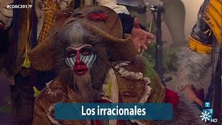 Comparsa Los irracionales | Final 2017