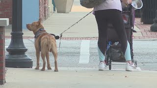 Petition in Joplin seeks to "stop criminalizing homelessness"