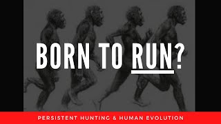 Are We Born to Run? (Triathlon Training, Trail Running, Daniel Lieberman, Half Marathon Training)
