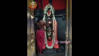 Maha mangalarathi to Sri Rayaru. (20-5-2022)