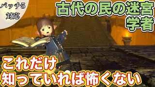 【FF14】古代の民の迷宮に学者(ヒーラー)で挑戦【これだけ知っていれば怖くないヒーラー編 2021年版】