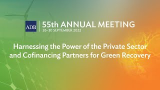 55th Annual Meeting (2nd stage): Harnessing the Power of the Private Sector and Cofinancing Partners