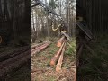 the secret to low ground pressure forest management amazing viral georgia ponsse