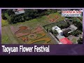 Taoyuan Flower Festival to kick off on Nov. 11 with 8 hectares of flower fields｜Taiwan News