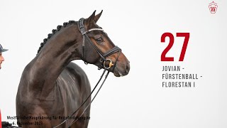 Hauptkörung 2023 Reitpferde Katnr. 27 Jovian - Fürstenball - Florestan I