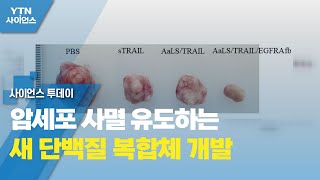 암세포 사멸 유도하는 새 단백질 복합체 개발 / YTN 사이언스