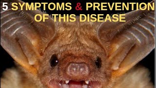 5 symptoms of this disease | treatments |इस लाइलाज बीमारी से बचने के उपाय ज़रूर देखें | Nipah virus