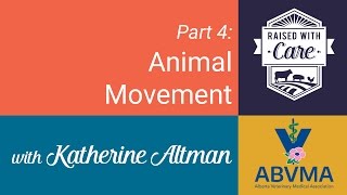 Raised With Care - Animal Movement