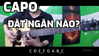 [Guitar 8] Cách đặt Capo cho tất cả các tone(giọng) của ca sỹ hát. (Siêu dễ)