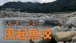 東勢龍安橋尋捲趣 － 颱風前，趕快來跟阿捲們玩一下，熱情依舊...大水來要躲好喔！#路亞 #台湾のルアーフィッシング #何氏棘魞 #捲仔 #金康 #tailwalk #SHIMANO #varivas