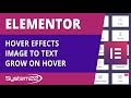 Elementor Hover Effects Image To Text Grow On Hover 👈