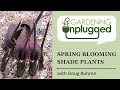 Gardening Unplugged - Spring Blooming Plants with Doug Ruhren (Part 1 - Shade Garden)