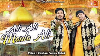 Maula Ali Qawwali | Ali Ali Maula Ali | Zeeshan Faizan Sabri | Beautiful Qawwali