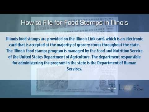How to File for Food Stamps Illinois How to File for Food Stamps Illinois