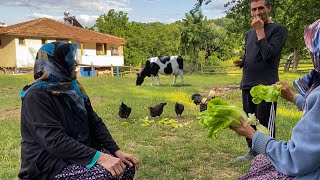 Daily Jobs in the Village. Amazing Life in Mountain Village. Turkey Village Life.