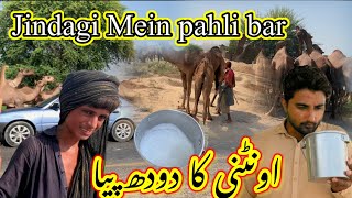 Jindagi Mein pahli bar 🐫🐪 اونٹنی کا دودھ پیا#nikmahhaji