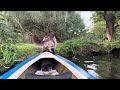 louis is meeting a cheeky raccoon on the wetlands 🐾🦝