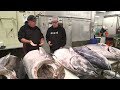 Different Grades of Tuna at the Fish Market