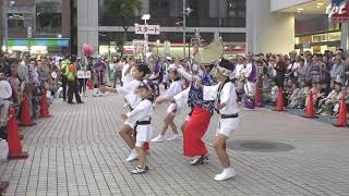 夢楽連  第6 小岩阿波おどり 北口駅前会場