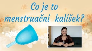 Co je to menstruační kalíšek?