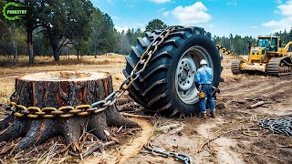 Extreme Dangerous Fastest Big Chainsaw Cutting Tree Machines | Monster Stump Removal Excavator #42