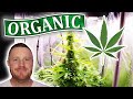 I Grow 'Organic' Cannabis in my Mini Grow Tent (TomatoTent). Seed to Smoke. Part 1