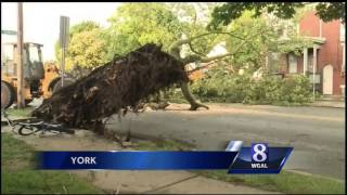 Storms topple massive trees, flood streets