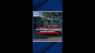 Juvenile violence on the rise in North Austin neighborhood