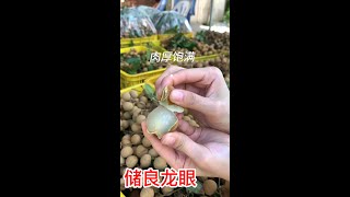 儲良龍眼個大肉厚汁多脆甜，誰能不愛呢，快來嚐嚐Chuliang Longan is big, juicy and sweet, who doesn't love it, come and try it