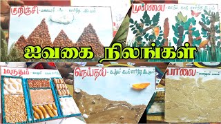 ஐந்து திணைகள் || குறிஞ்சி, முல்லை, மருதம், நெய்தல், பாலை || Illam Thedi Kalvi