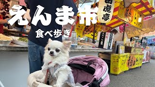 愛犬チワワとえんま市で食べ歩きした