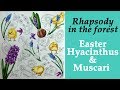 Coloring 'Rhapsody in the forest' Easter Hyacinthus & Muscari / Prismacolor pencils