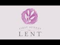 First Sunday in Lent  -  February 18, 2024