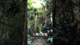 沖縄県那覇市首里末吉公園　散策