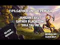 TIPS GATHER BLACK ZONE PEMULA ALBION ONLINE MOBILE EAST SERVER