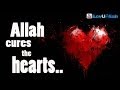 Allah Cures The Hearts ᴴᴰ | Powerful Reminder